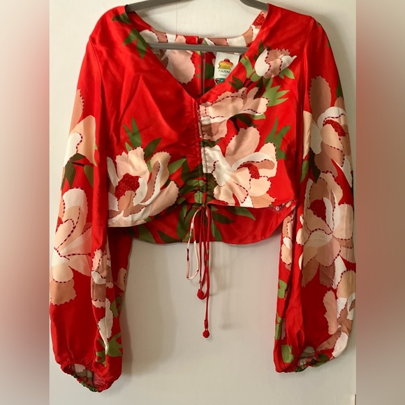 FARM Rio Red Floral Voluminous Sleeve Blouse with Colorrful Accents - Size M - Picture 4 of 7